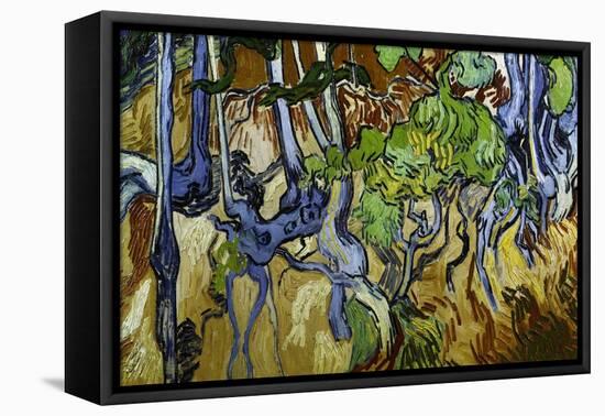 Tree Roots and Tree Trunks-Vincent van Gogh-Framed Stretched Canvas