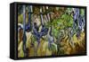 Tree Roots and Tree Trunks-Vincent van Gogh-Framed Stretched Canvas