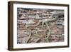 Tree Roots Growing On Brick Wall. Wat Phra Mahathat Temple. Ayutthaya. Thailand-Oscar Dominguez-Framed Photographic Print