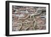 Tree Roots Growing On Brick Wall. Wat Phra Mahathat Temple. Ayutthaya. Thailand-Oscar Dominguez-Framed Photographic Print