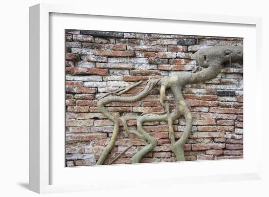 Tree Roots Growing On Brick Wall. Wat Phra Mahathat Temple. Ayutthaya. Thailand-Oscar Dominguez-Framed Photographic Print