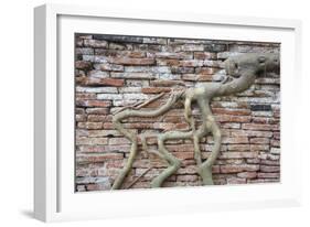 Tree Roots Growing On Brick Wall. Wat Phra Mahathat Temple. Ayutthaya. Thailand-Oscar Dominguez-Framed Photographic Print