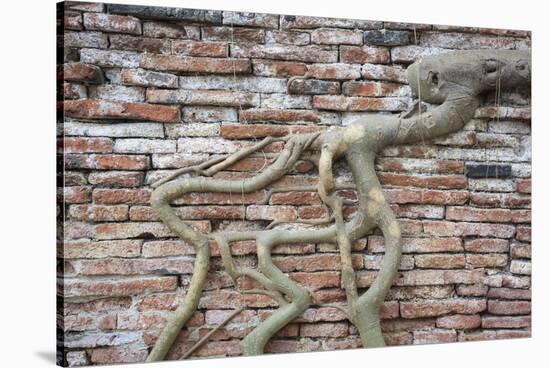 Tree Roots Growing On Brick Wall. Wat Phra Mahathat Temple. Ayutthaya. Thailand-Oscar Dominguez-Stretched Canvas