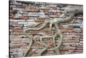 Tree Roots Growing On Brick Wall. Wat Phra Mahathat Temple. Ayutthaya. Thailand-Oscar Dominguez-Stretched Canvas