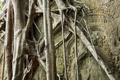 https://imgc.allpostersimages.com/img/posters/tree-roots-growing-over-bas-relief-on-ta-prohm-temple-ruins-siem-reap_u-L-Q13AK870.jpg?artPerspective=n