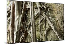 Tree Roots Growing over Bas-Relief on Ta Prohm Temple Ruins, Siem Reap-David Wall-Mounted Photographic Print