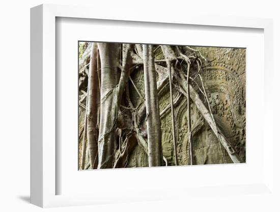 Tree Roots Growing over Bas-Relief on Ta Prohm Temple Ruins, Siem Reap-David Wall-Framed Photographic Print