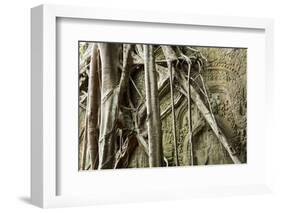 Tree Roots Growing over Bas-Relief on Ta Prohm Temple Ruins, Siem Reap-David Wall-Framed Photographic Print