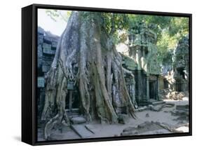 Tree Roots Growing Over Ruins at Archaeological Site, Unesco World Heritage Site, Cambodia-Gavin Hellier-Framed Stretched Canvas