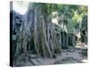 Tree Roots Growing Over Ruins at Archaeological Site, Unesco World Heritage Site, Cambodia-Gavin Hellier-Stretched Canvas