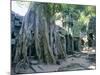 Tree Roots Growing Over Ruins at Archaeological Site, Unesco World Heritage Site, Cambodia-Gavin Hellier-Mounted Photographic Print