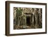 Tree Roots Growing over Ta Prohm Temple Ruins, Angkor World Heritage Site, Siem Reap, Cambodia-David Wall-Framed Photographic Print