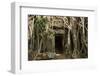 Tree Roots Growing over Ta Prohm Temple Ruins, Angkor World Heritage Site, Siem Reap, Cambodia-David Wall-Framed Photographic Print