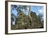 Tree Roots Growing over Ta Prohm Temple Ruins, Angkor World Heritage Site, Siem Reap, Cambodia-David Wall-Framed Photographic Print