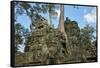 Tree Roots Growing over Ta Prohm Temple Ruins, Angkor World Heritage Site, Siem Reap, Cambodia-David Wall-Framed Stretched Canvas