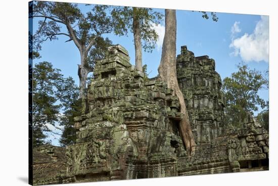 Tree Roots Growing over Ta Prohm Temple Ruins, Angkor World Heritage Site, Siem Reap, Cambodia-David Wall-Stretched Canvas