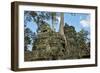 Tree Roots Growing over Ta Prohm Temple Ruins, Angkor World Heritage Site, Siem Reap, Cambodia-David Wall-Framed Photographic Print