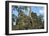 Tree Roots Growing over Ta Prohm Temple Ruins, Angkor World Heritage Site, Siem Reap, Cambodia-David Wall-Framed Photographic Print