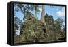 Tree Roots Growing over Ta Prohm Temple Ruins, Angkor World Heritage Site, Siem Reap, Cambodia-David Wall-Framed Stretched Canvas