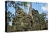 Tree Roots Growing over Ta Prohm Temple Ruins, Angkor World Heritage Site, Siem Reap, Cambodia-David Wall-Stretched Canvas