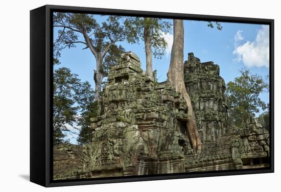 Tree Roots Growing over Ta Prohm Temple Ruins, Angkor World Heritage Site, Siem Reap, Cambodia-David Wall-Framed Stretched Canvas