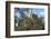 Tree Roots Growing over Ta Prohm Temple Ruins, Angkor World Heritage Site, Siem Reap, Cambodia-David Wall-Framed Photographic Print