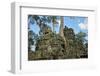 Tree Roots Growing over Ta Prohm Temple Ruins, Angkor World Heritage Site, Siem Reap, Cambodia-David Wall-Framed Photographic Print