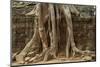 Tree Roots Growing over Ta Prohm Temple Ruins, Angkor World Heritage Site, Siem Reap, Cambodia-David Wall-Mounted Photographic Print