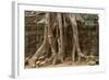 Tree Roots Growing over Ta Prohm Temple Ruins, Angkor World Heritage Site, Siem Reap, Cambodia-David Wall-Framed Photographic Print