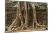 Tree Roots Growing over Ta Prohm Temple Ruins, Angkor World Heritage Site, Siem Reap, Cambodia-David Wall-Mounted Photographic Print