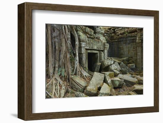 Tree Roots Growing over Ta Prohm Temple Ruins, Angkor World Heritage Site, Siem Reap, Cambodia-David Wall-Framed Photographic Print