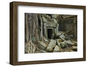 Tree Roots Growing over Ta Prohm Temple Ruins, Angkor World Heritage Site, Siem Reap, Cambodia-David Wall-Framed Photographic Print
