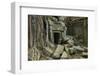 Tree Roots Growing over Ta Prohm Temple Ruins, Angkor World Heritage Site, Siem Reap, Cambodia-David Wall-Framed Photographic Print