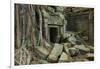 Tree Roots Growing over Ta Prohm Temple Ruins, Angkor World Heritage Site, Siem Reap, Cambodia-David Wall-Framed Photographic Print