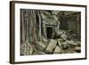 Tree Roots Growing over Ta Prohm Temple Ruins, Angkor World Heritage Site, Siem Reap, Cambodia-David Wall-Framed Photographic Print