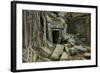 Tree Roots Growing over Ta Prohm Temple Ruins, Angkor World Heritage Site, Siem Reap, Cambodia-David Wall-Framed Photographic Print