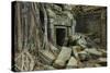 Tree Roots Growing over Ta Prohm Temple Ruins, Angkor World Heritage Site, Siem Reap, Cambodia-David Wall-Stretched Canvas