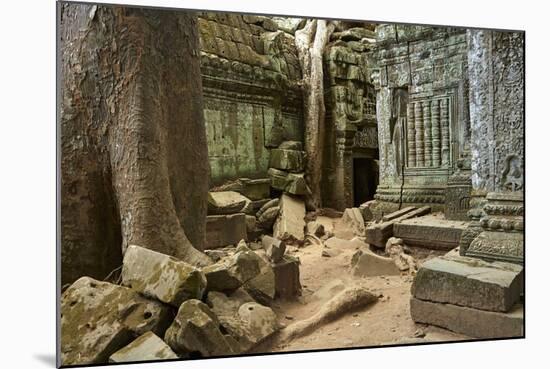 Tree Roots Growing over Ta Prohm Temple Ruins, Angkor World Heritage Site, Siem Reap, Cambodia-David Wall-Mounted Photographic Print