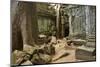 Tree Roots Growing over Ta Prohm Temple Ruins, Angkor World Heritage Site, Siem Reap, Cambodia-David Wall-Mounted Photographic Print