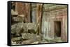 Tree Roots Growing over Ta Prohm Temple Ruins, Angkor World Heritage Site, Siem Reap, Cambodia-David Wall-Framed Stretched Canvas