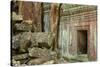 Tree Roots Growing over Ta Prohm Temple Ruins, Angkor World Heritage Site, Siem Reap, Cambodia-David Wall-Stretched Canvas