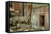 Tree Roots Growing over Ta Prohm Temple Ruins, Angkor World Heritage Site, Siem Reap, Cambodia-David Wall-Framed Stretched Canvas