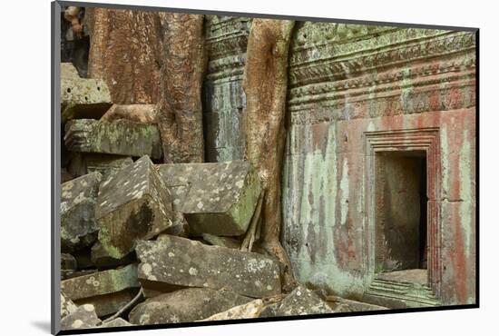 Tree Roots Growing over Ta Prohm Temple Ruins, Angkor World Heritage Site, Siem Reap, Cambodia-David Wall-Mounted Photographic Print