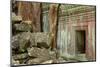 Tree Roots Growing over Ta Prohm Temple Ruins, Angkor World Heritage Site, Siem Reap, Cambodia-David Wall-Mounted Photographic Print