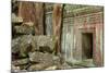 Tree Roots Growing over Ta Prohm Temple Ruins, Angkor World Heritage Site, Siem Reap, Cambodia-David Wall-Mounted Photographic Print