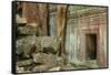 Tree Roots Growing over Ta Prohm Temple Ruins, Angkor World Heritage Site, Siem Reap, Cambodia-David Wall-Framed Stretched Canvas