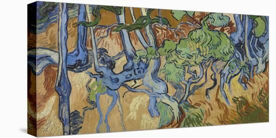 Tree Roots-Vincent Van Gogh-Stretched Canvas