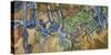 Tree Roots-Vincent Van Gogh-Stretched Canvas