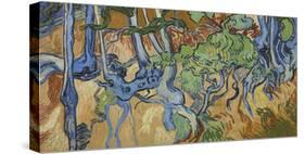 Tree Roots-Vincent Van Gogh-Stretched Canvas