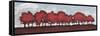 Tree Row Sunset In Red-Dan Meneely-Framed Stretched Canvas